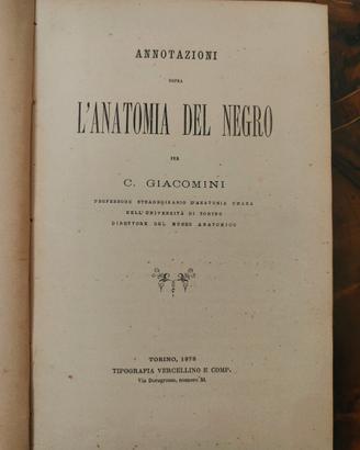 Giacomini, Annotazioni sopra l’anatomia del Negro