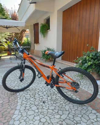 Bicicletta ragazzo 24"