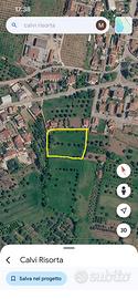 ? TERRENO A CALVI RISORTA 5500 mq ca