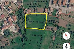 ? TERRENO A CALVI RISORTA 5500 mq ca