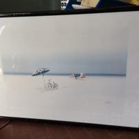 Quadro C. Giordani litografia