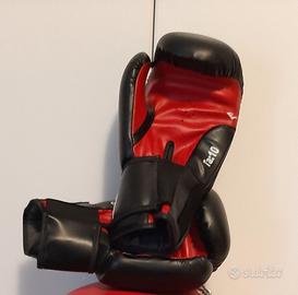 Guanti da Boxe