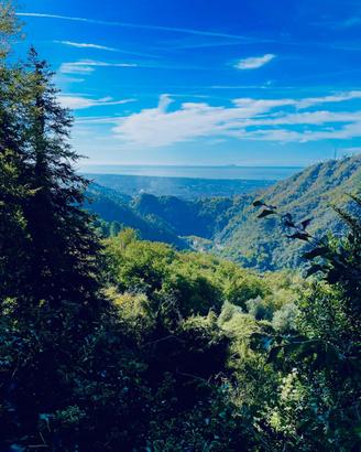 Rustico in collina con vista mare (Seravezza)