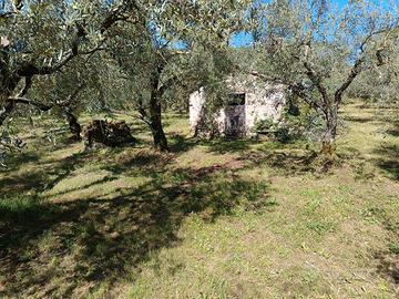 Oliveto Segni