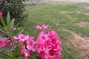 Camper e caravan rimessaggio