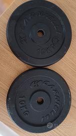 2 dischi carnielli da 10 kg
