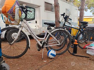 coppia bici olmo