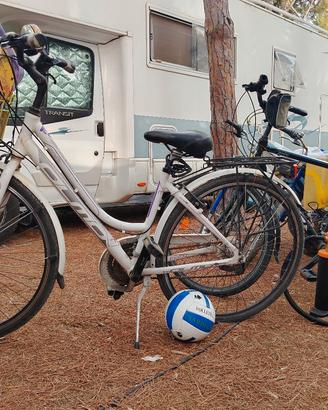 coppia bici olmo
