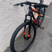 MOUNTAIN BIKE 29”