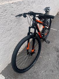 MOUNTAIN BIKE 29”