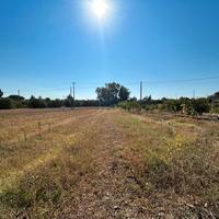 6.000mq fronte strada Monastir/San Sperate