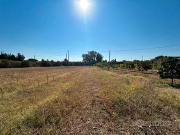 6.000mq fronte strada Monastir/San Sperate