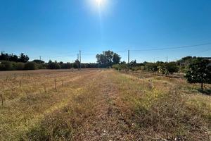 6.000mq fronte strada Monastir/San Sperate