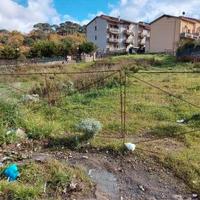 RGE 60/2022 Trib ENNA