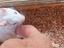 Immagine 5