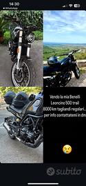 Benelli Leoncino 500 trail 48cv 2022