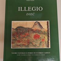 Illegio Diec di Arduino Scarsini