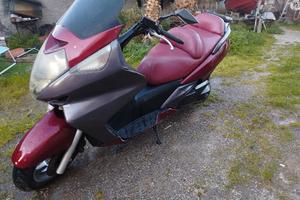 scooter Honda swing 600