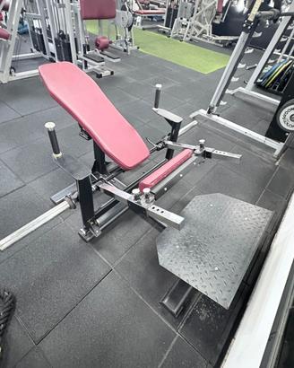 Hip Thrust