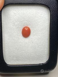Corallo del Mediterraneo naturale cabochon