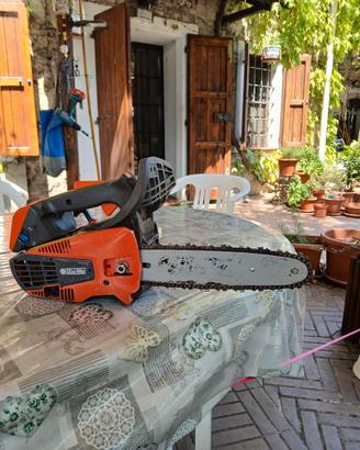 Motosega Oleomac GST 250