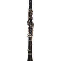 Clarinetto Yamaha YCL 255.