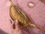 Immagine 3