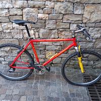 Mountan bike Colnago rara in titanio