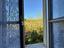 Immagine 23