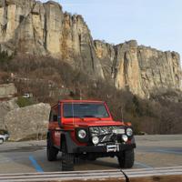 Mercedes G 300 GD w460 ASI