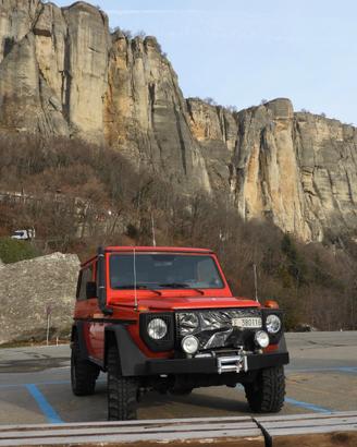 Mercedes G 300 GD w460 ASI