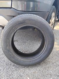 gomme estive 