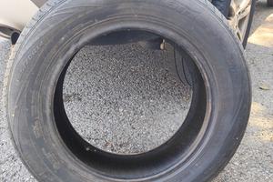 gomme estive 