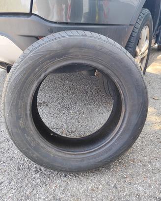 gomme estive 
