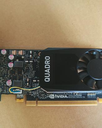 NVIDIA Quadro p1000 4gb profilo alto