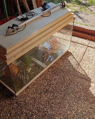 acquario per pesci 100 litri 