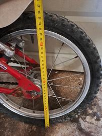 Bicicletta da bimbo Poli