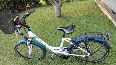 bici elettrica sinus pa2 