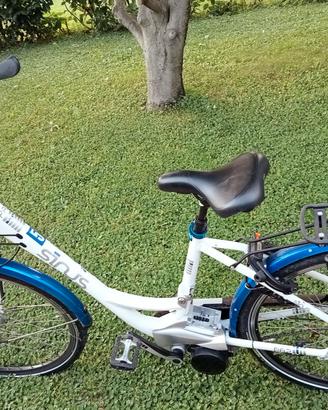 bici elettrica sinus pa2 