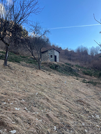 Terreno e rustico in val di Fiemme