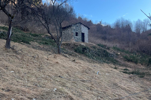 Terreno e rustico in val di Fiemme