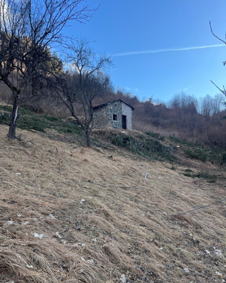 Terreno e rustico in val di Fiemme