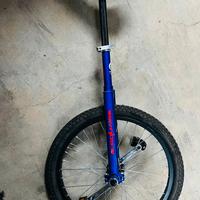 Monociclo