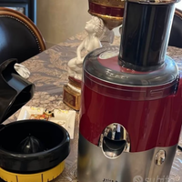 Magimix estrattore frutta e verdura pagato 300