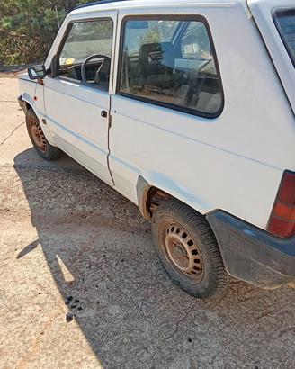 fiat panda