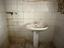 Immagine 7