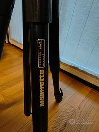 Treppiedi Manfrotto 055XPROB+testa 484RC2