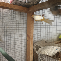 Solo per chi e interessato