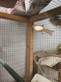 Solo per chi e interessato