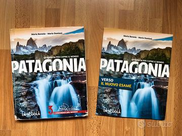 Patagonia 3
